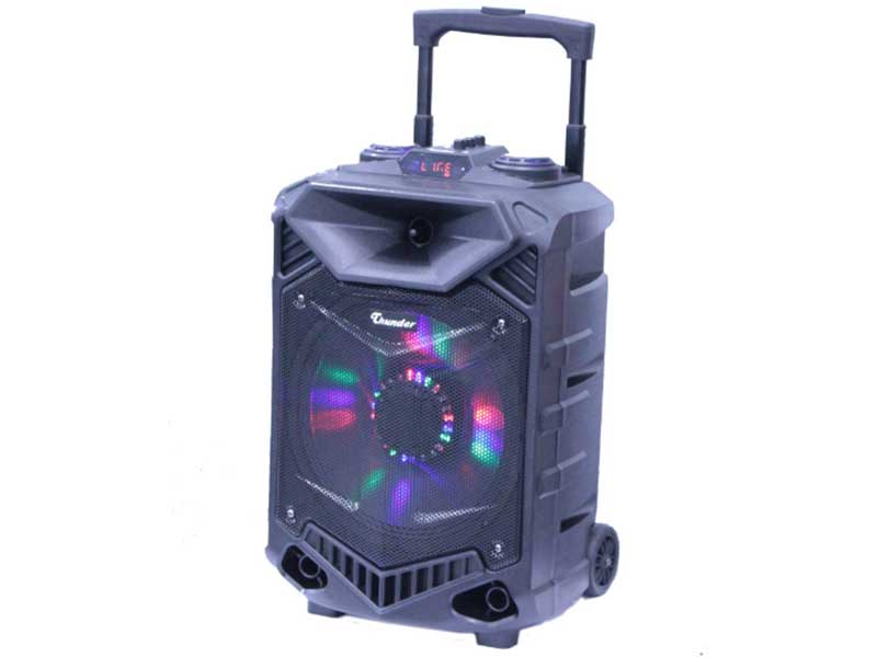 Incintă Activă 12 inch ABS USB/SD/FM/BT/ACCU Thunder – Sistem Audio Portabil cu 2 Microfoane Wireless și Lumini LED